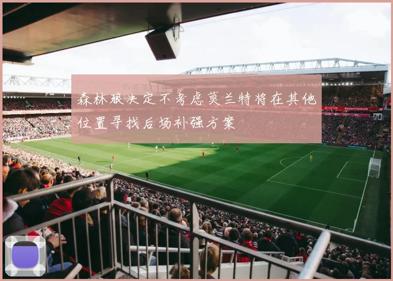 森林狼决定不考虑莫兰特将在其他位置寻找后场补强方案